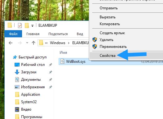 Wdboot sys что это